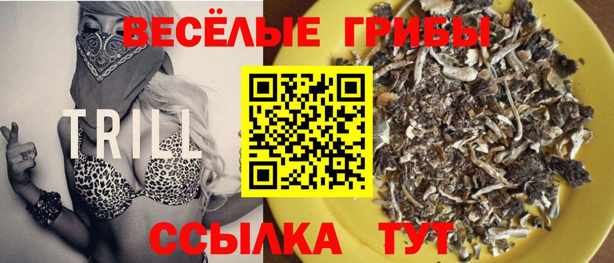 Галлюциногенные грибы Cubensis Каменка