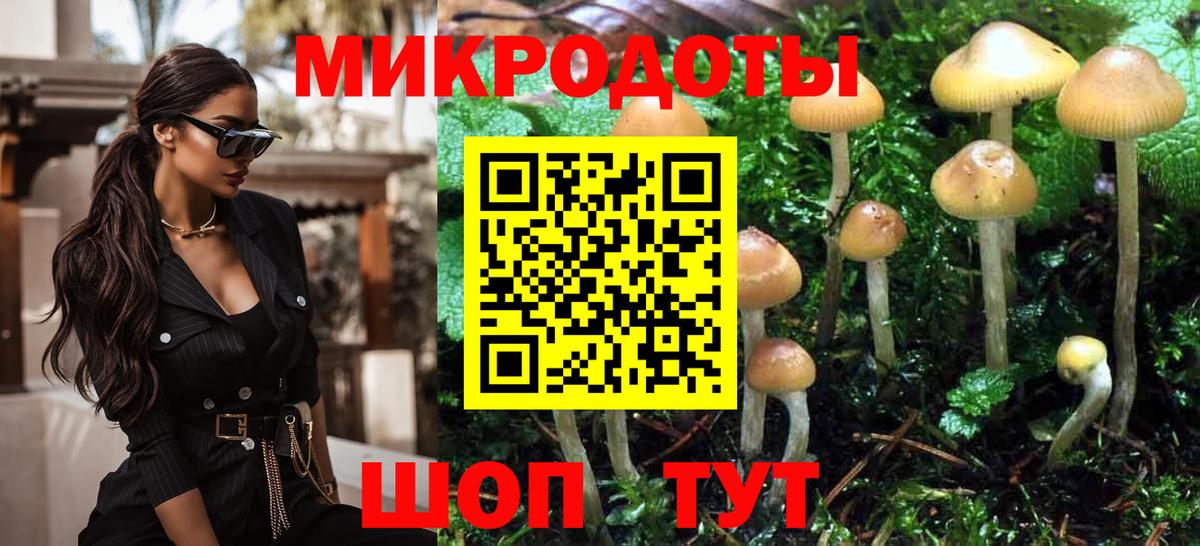 Псилоцибиновые грибы MAGIC MUSHROOMS  Вход с VPN  Каменка 
