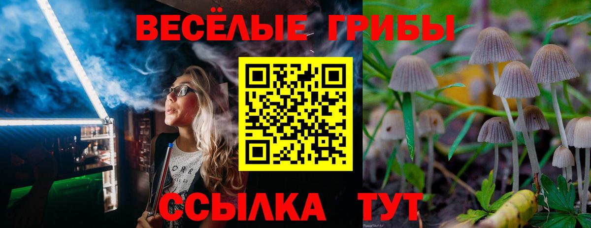 Меф Каменка